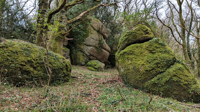 Long Tor on Dartmoor